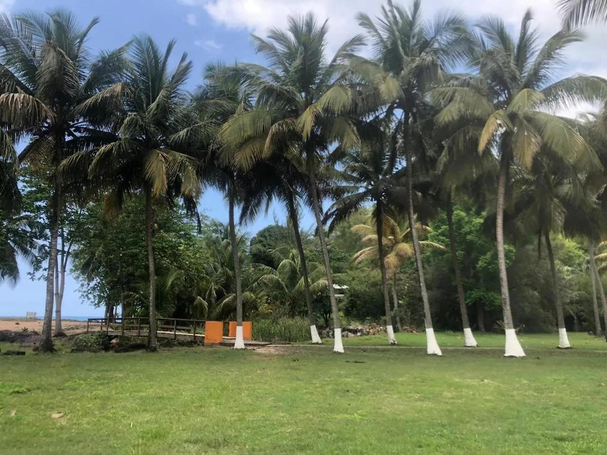 Holiday home Au Sable D'Or - Spa - Wifi- Piscine Deshaies Guadeloupe